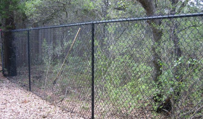 Chain Link Fencing Black Chain Link Fencing