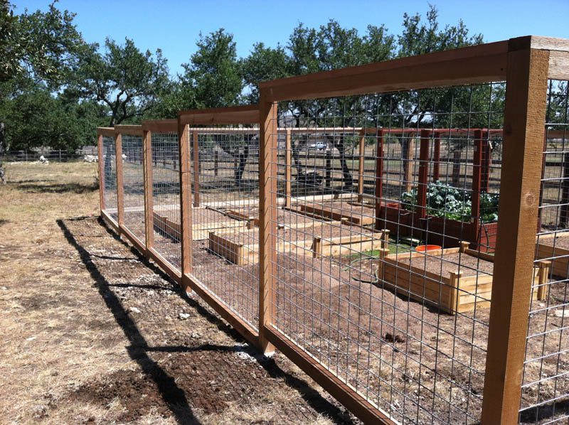 6 foot cattle panel garden enclosure