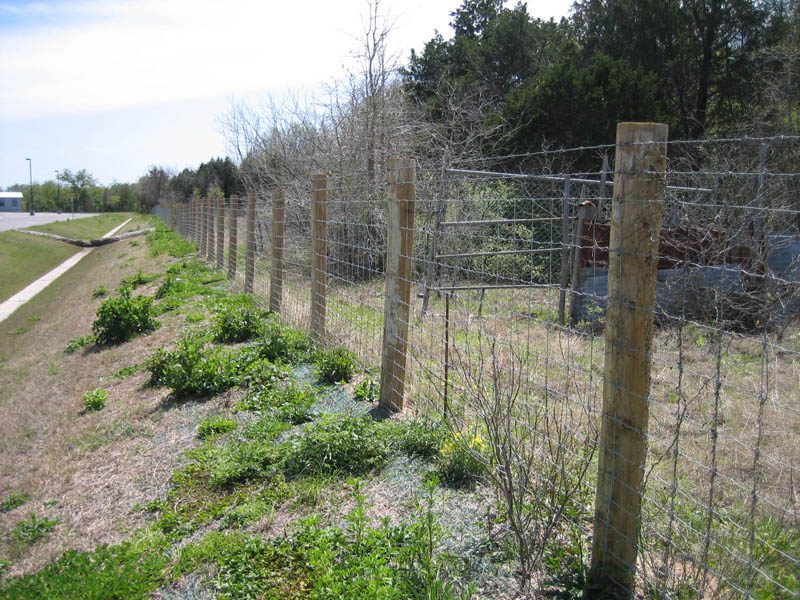 Ranch Fence